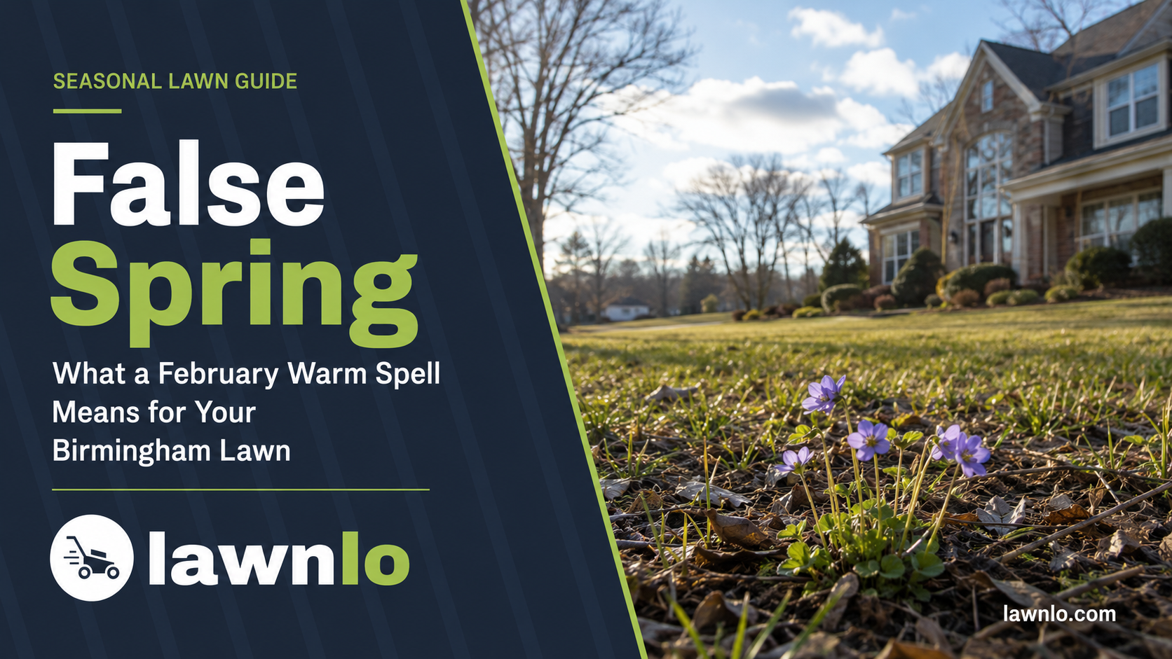 False spring in Birmingham — what a February warm spell means for your lawn